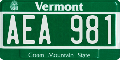 VT license plate AEA981