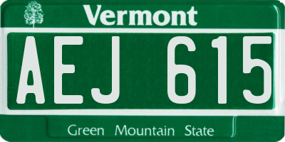 VT license plate AEJ615
