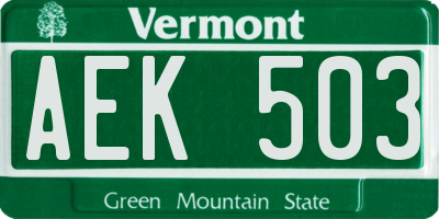 VT license plate AEK503