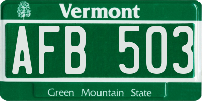 VT license plate AFB503