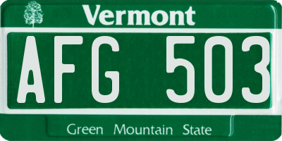 VT license plate AFG503