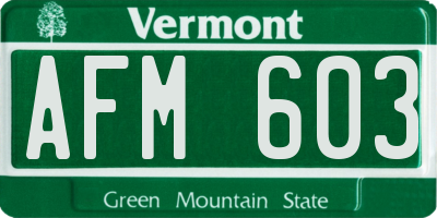 VT license plate AFM603