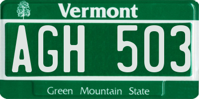 VT license plate AGH503