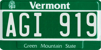 VT license plate AGI919