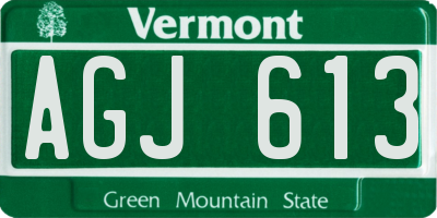 VT license plate AGJ613