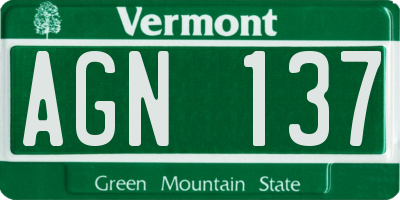 VT license plate AGN137