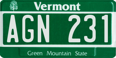 VT license plate AGN231