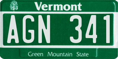 VT license plate AGN341