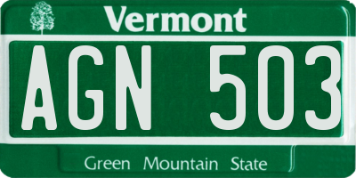 VT license plate AGN503
