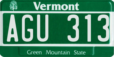 VT license plate AGU313