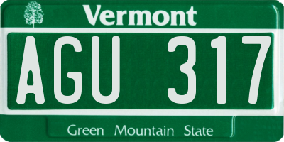 VT license plate AGU317