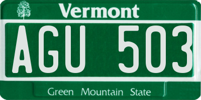 VT license plate AGU503
