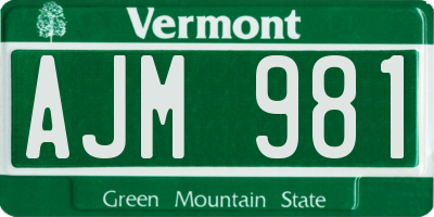 VT license plate AJM981