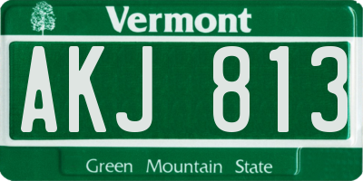 VT license plate AKJ813