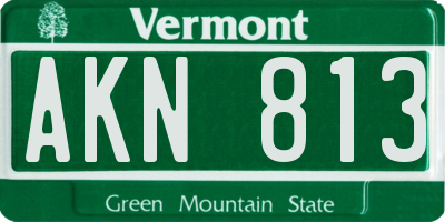 VT license plate AKN813