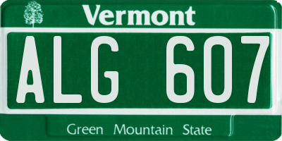 VT license plate ALG607