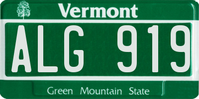 VT license plate ALG919