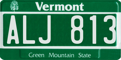 VT license plate ALJ813