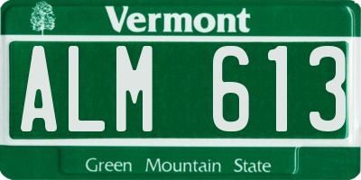 VT license plate ALM613