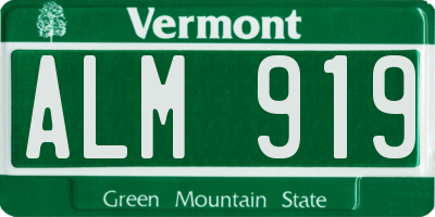 VT license plate ALM919