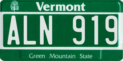 VT license plate ALN919