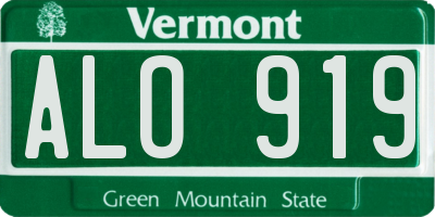 VT license plate ALO919