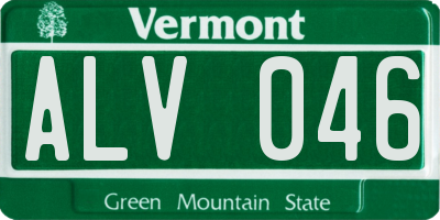 VT license plate ALV046