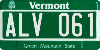 VT license plate ALV061