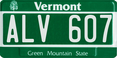 VT license plate ALV607