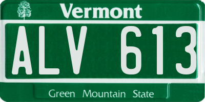 VT license plate ALV613