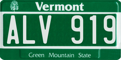VT license plate ALV919