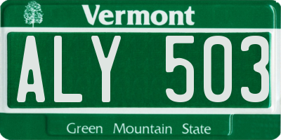 VT license plate ALY503
