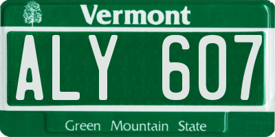 VT license plate ALY607