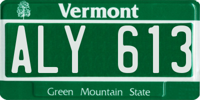 VT license plate ALY613