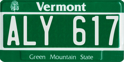 VT license plate ALY617