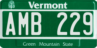 VT license plate AMB229