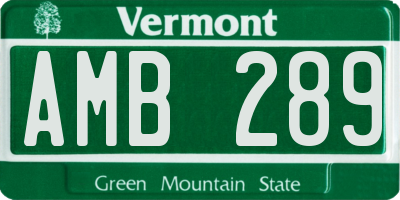 VT license plate AMB289