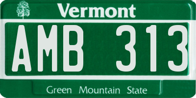 VT license plate AMB313