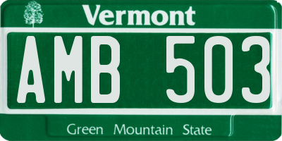 VT license plate AMB503