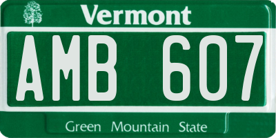 VT license plate AMB607