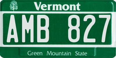VT license plate AMB827