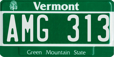 VT license plate AMG313
