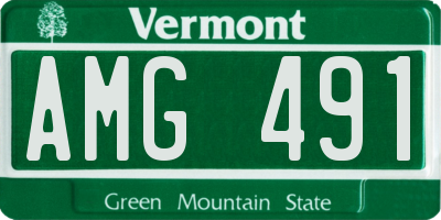 VT license plate AMG491