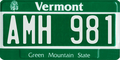 VT license plate AMH981