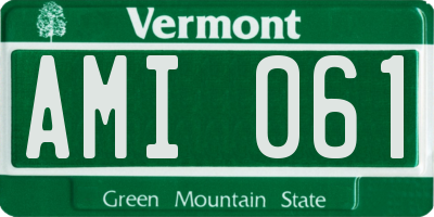 VT license plate AMI061