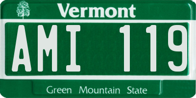 VT license plate AMI119