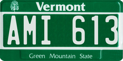 VT license plate AMI613