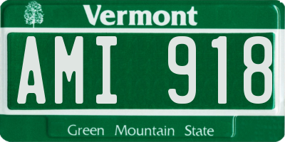 VT license plate AMI918