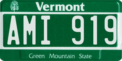 VT license plate AMI919