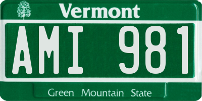 VT license plate AMI981